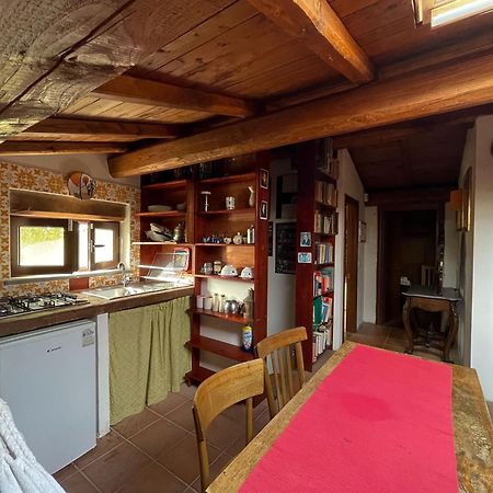 Willa Country House Tra Lago E Mare A Sud Di Roma Campoleone Zewnętrze zdjęcie