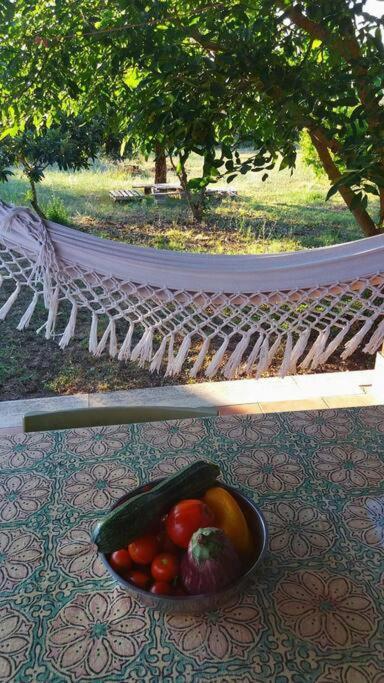 Willa Country House Tra Lago E Mare A Sud Di Roma Campoleone Zewnętrze zdjęcie