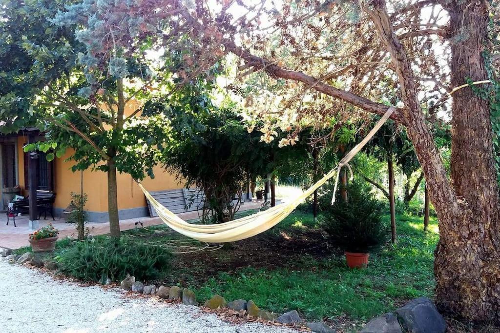 Willa Country House Tra Lago E Mare A Sud Di Roma Campoleone Zewnętrze zdjęcie